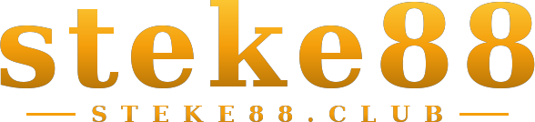 steke88 logo